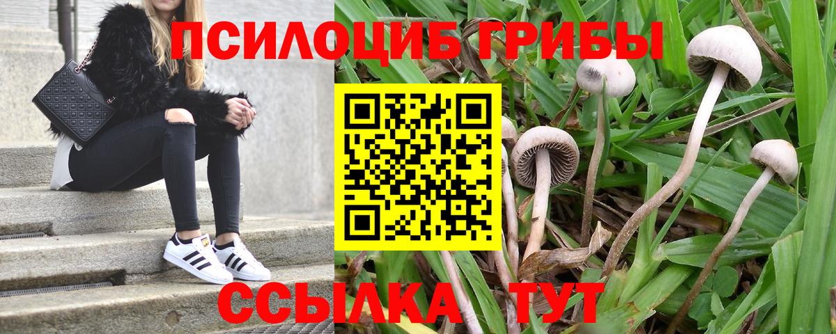 Псилоцибиновые грибы MAGIC MUSHROOMS Волгоград