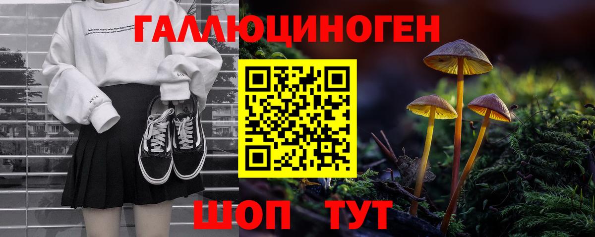Галлюциногенные грибы Psilocybine cubensis  Псилоцибиновые грибы прущие грибы  Вход с VPN  Волгоград 